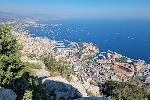 Monte Carlo Viewpoint image