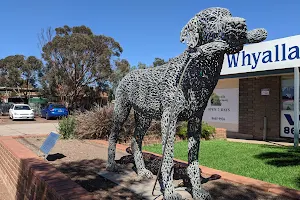 Whyalla Veterinary Clinic image