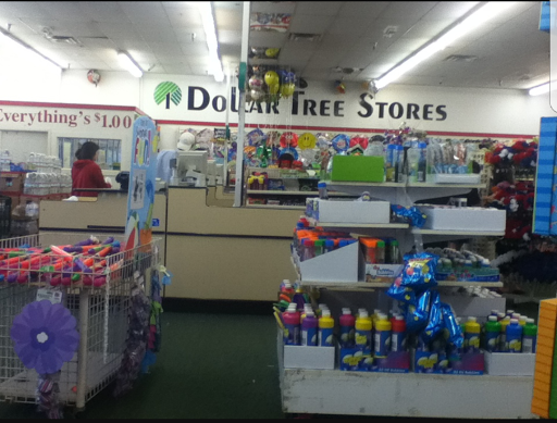 Dollar Store «Dollar Tree», reviews and photos, 13932 Manchester Rd, Ballwin, MO 63011, USA