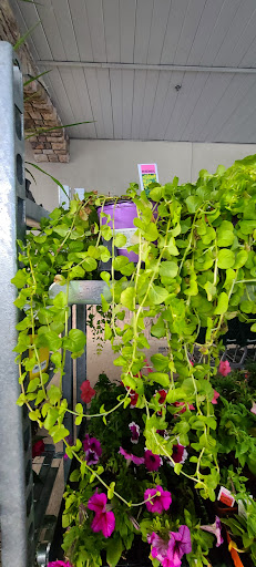 Grocery Store «Riccardos Market», reviews and photos, 1219 Wheeler Ave, Scranton, PA 18510, USA