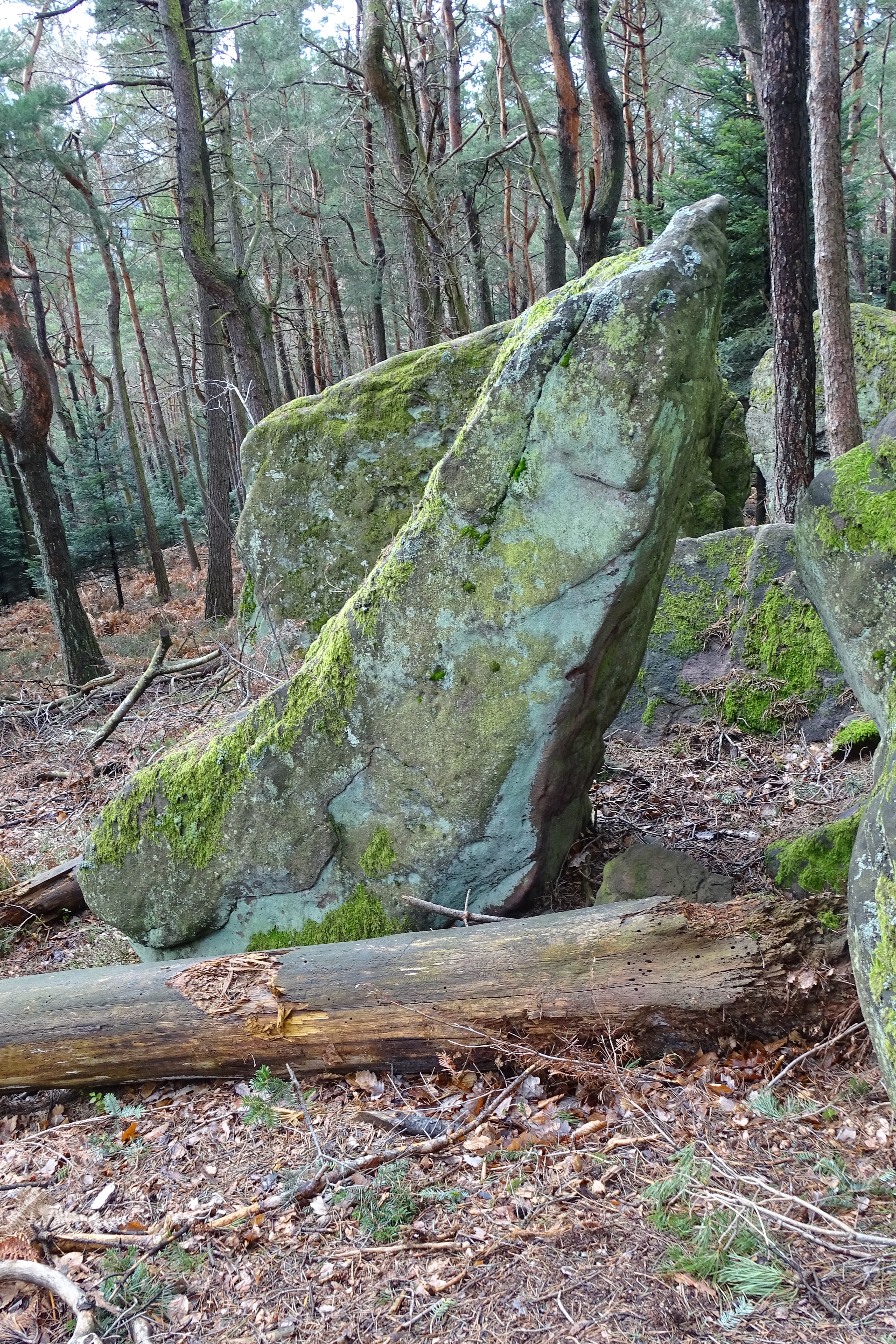 Photo n° 8 de l'avis de Aloyse.o fait le 15/02/2024 à 18:25