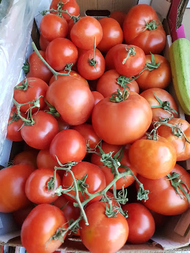 רוגוזין 15, אשדוד