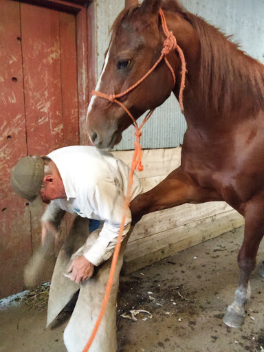 Tack Shop «3 Gems Tack & Stables», reviews and photos, 1175 85th Ave NW, Moorhead, MN 56560, USA