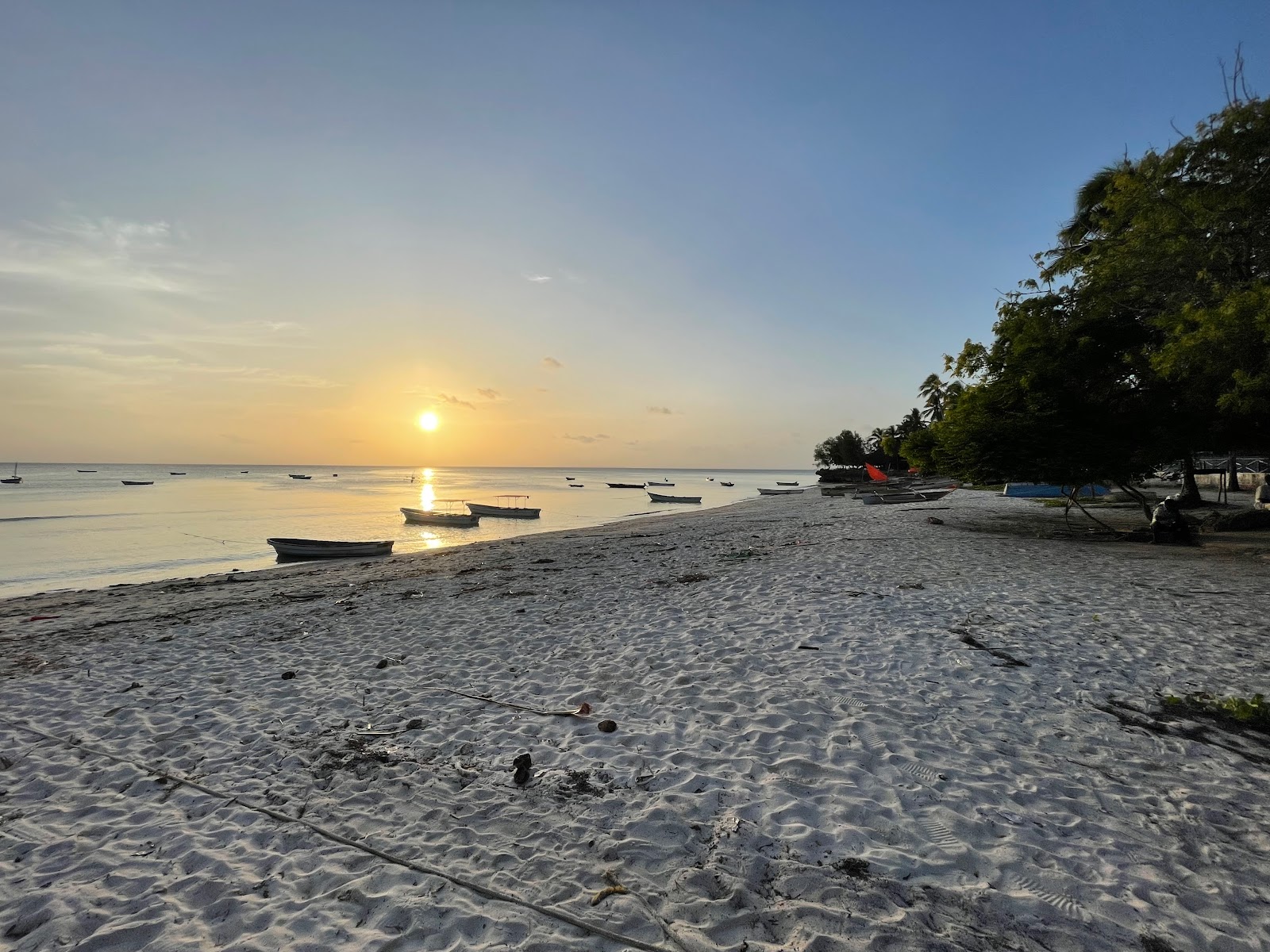 Kizimkazi Beach photo #9