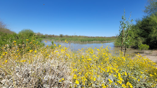 National Reserve «Riparian Preserve at Water Ranch», reviews and photos, 2757 E Guadalupe Rd, Gilbert, AZ 85234, USA