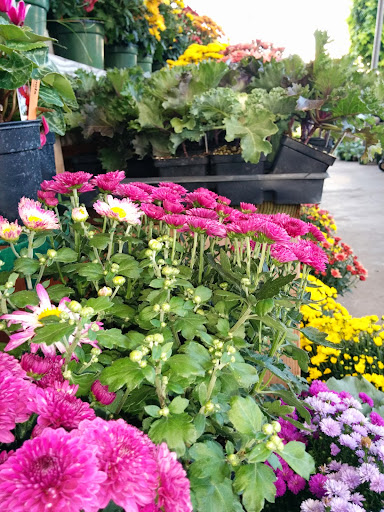 Florist «Incahoots», reviews and photos, 905 NE Baker St, McMinnville, OR 97128, USA