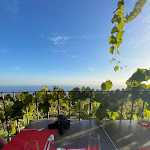 Photo n°6 de l'avis de Denis.i fait le 12/10/2022 à 10:18 sur le  Restaurante Bago à Estreito da Calheta