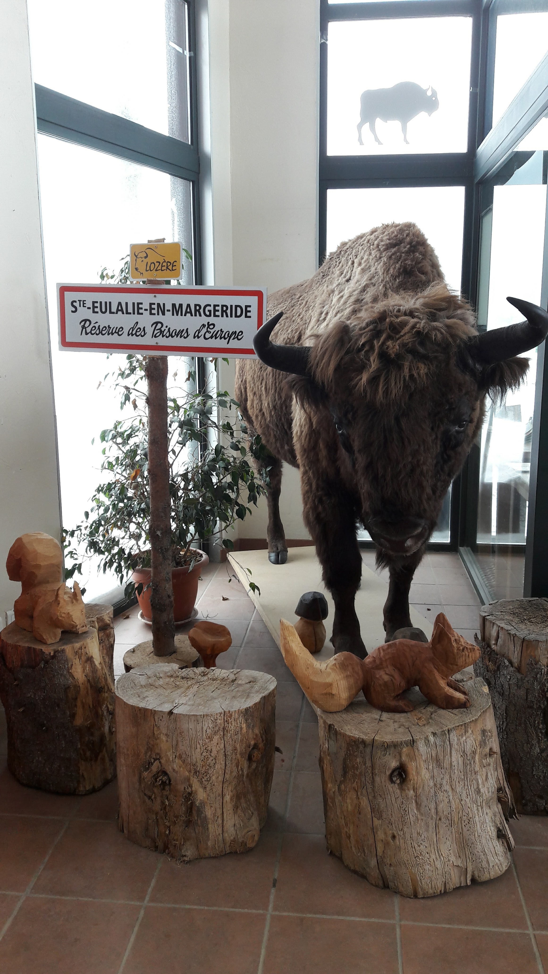 Photo n° 1 de l'avis de Walkyrie.o fait le 26/08/2022 à 13:24