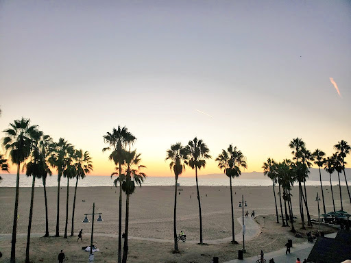 Stay Open Venice Beach image