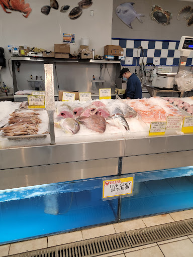 Asian Grocery Store «Gold Valley Supermarket», reviews and photos, 211 Morris Ave, Springfield Township, NJ 07081, USA