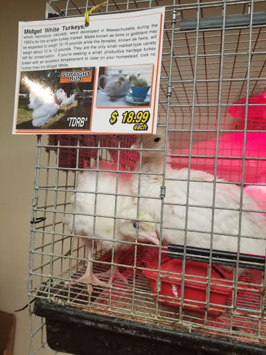 Pet Supply Store «Pickering Valley Feed & Farm Store», reviews and photos, 305 Gordon Dr, Exton, PA 19341, USA