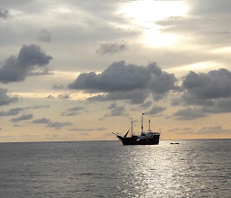 Puerto De Luna Doggy Park photo