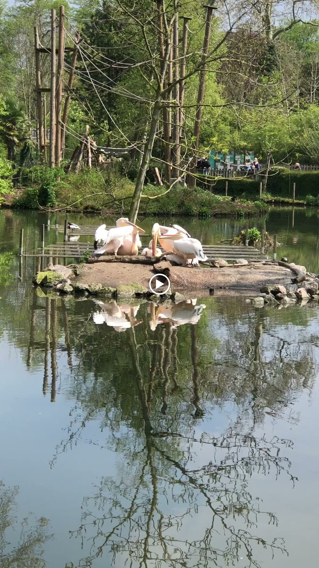 Photo n° 9 de l'avis de R. fait le 25/04/2023 à 06:22