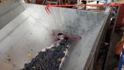 Domaine La Maurerie à Prades-sur-Vernazobre