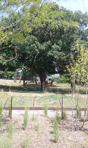 Zoo «Durhams Bear Canyon», reviews and photos, 3701 S 10th St, Omaha, NE 68107, USA