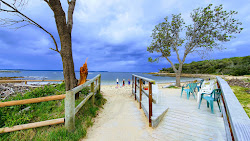 Photo de Shelly Beach avec un niveau de propreté de très propre