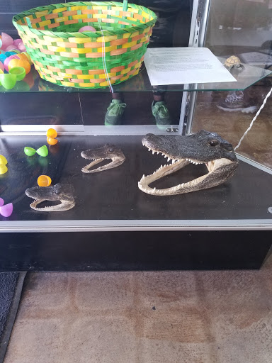 Pet Store «Wildside Pets», reviews and photos, 1042 N Higley Rd #105, Mesa, AZ 85205, USA