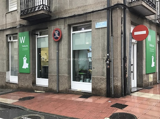 Tintorería Walkyria