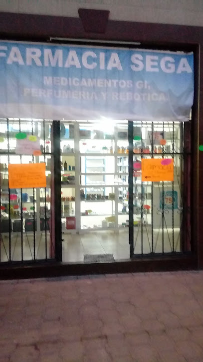 Farmacia Sega, , Pachuca De Soto