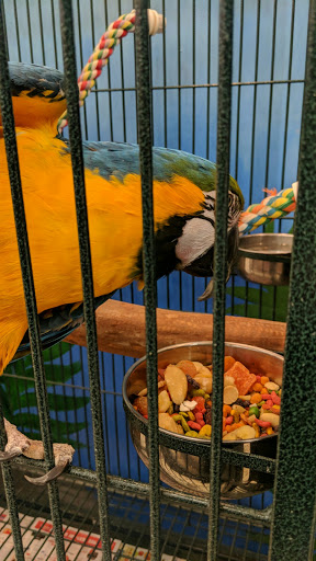 Pet Supply Store «PetKraze», reviews and photos, 100 Independent Way, Brewster, NY 10509, USA