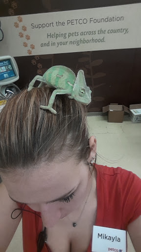 Pet Supply Store «Petco Animal Supplies», reviews and photos, 8404 Eager Rd b, Brentwood, MO 63144, USA