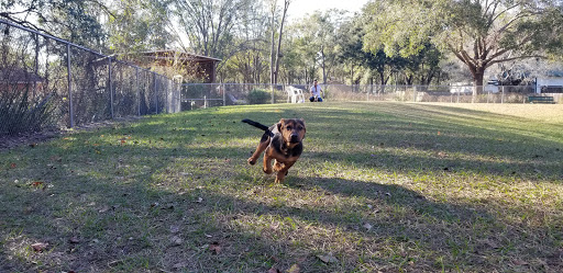 Park «Lutz Dog Park», reviews and photos, 122 1st Ave SW, Lutz, FL 33548, USA