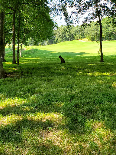 Golf Course «Texas Star Golf Course», reviews and photos, 1400 Texas Star Pkwy, Euless, TX 76040, USA