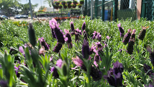 Home Improvement Store «The Home Depot», reviews and photos, 5455 Fairmont Pkwy, Pasadena, TX 77505, USA