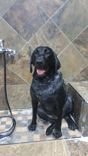 Pet Store «Pet Valu», reviews and photos, 2290 Central Park Ave, Yonkers, NY 10701, USA