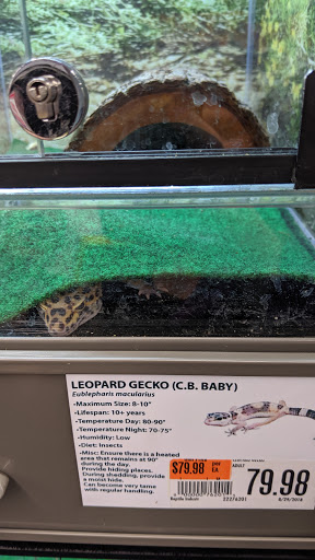 Pet Supply Store «Pet Supplies Plus», reviews and photos, 30034 Detroit Rd, Westlake, OH 44145, USA