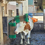 Photo n°3 de l'avis de Robert.e fait le 13/04/2024 à 11:49 sur le  Sulzburghof à Lenningen