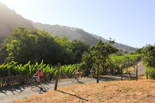 Bicycle Rental Service «Napa Valley Bike Tours & Rentals», reviews and photos, 6500 Washington St, Yountville, CA 94599, USA