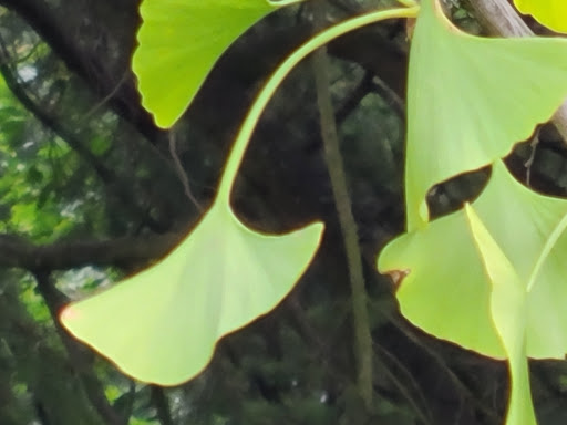 Park «Alberta Park», reviews and photos, 1905 NE Killingsworth St, Portland, OR 97211, USA