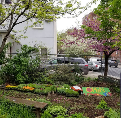 Newkirk Community Garden image 4