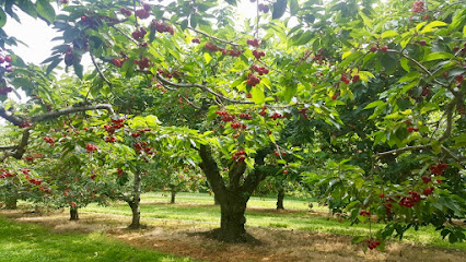 Inn The Orchard