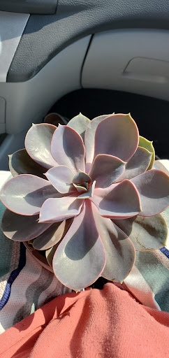 Home Improvement Store «The Home Depot», reviews and photos, 4250 N Newton St, Jasper, IN 47546, USA