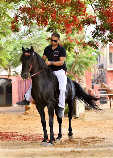 Horse riding in Cairo