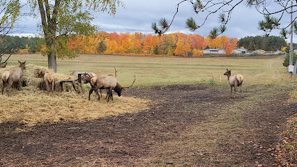 Gaylord City Elk Park Viewing Area
