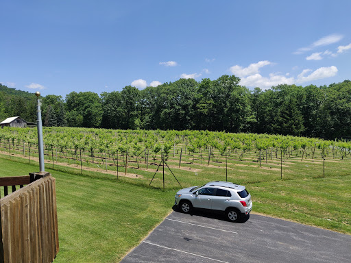 Winery «Mt. Nittany Vineyard and Winery», reviews and photos, 300 Houser Rd, Centre Hall, PA 16828, USA