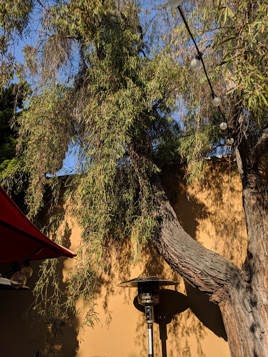 Wine Bar «The Wine Crush», reviews and photos, 3131 E Broadway, Long Beach, CA 90803, USA