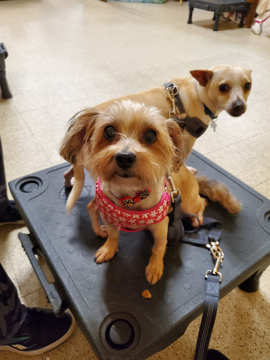 Pet Supply Store «PetSmart», reviews and photos, 16514 SW 88th St, Kendall, FL 33196, USA