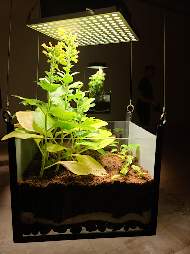 Art Museum «ASU Art Museum», reviews and photos, 51 E 10th St, Tempe, AZ 85281, USA