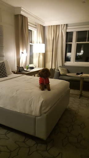 Luxury Hotel «The Ritz-Carlton, Half Moon Bay», reviews and photos, 1 Miramontes Point Rd, Half Moon Bay, CA 94019, USA