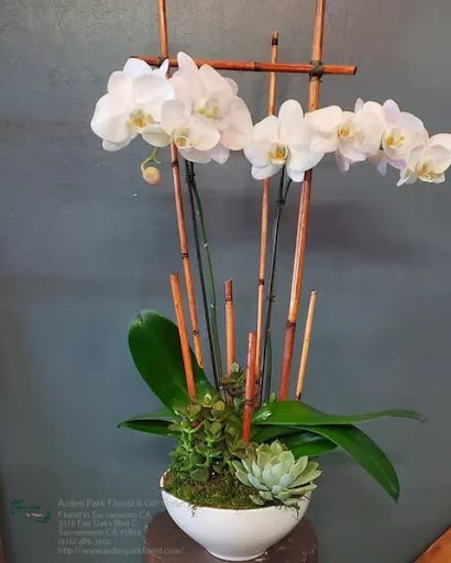 Florist «Arden Park Florist & Gift Gallery», reviews and photos, 564 La Sierra Dr, Sacramento, CA 95864, USA