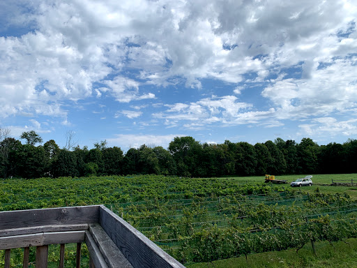 Vineyard «Haight Vineyard», reviews and photos, 29 Chestnut Hill Rd, Litchfield, CT 06759, USA