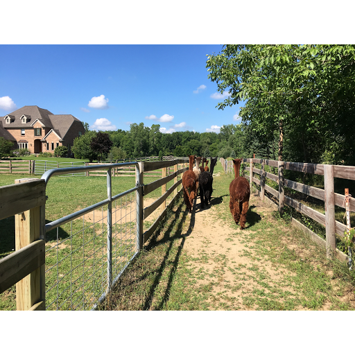Fashion Accessories Store «Eclipse Alpacas», reviews and photos, 1575 N Coats Rd, Oxford, MI 48371, USA