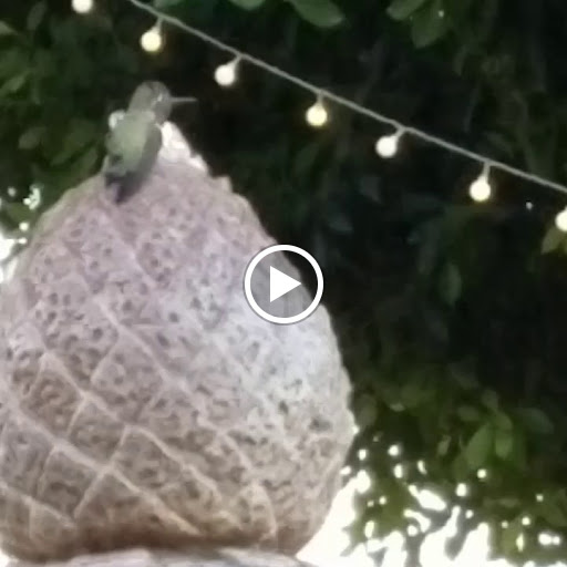 Coffee Shop «Coffee Rush», reviews and photos, 1555 N Gilbert Rd, Gilbert, AZ 85234, USA