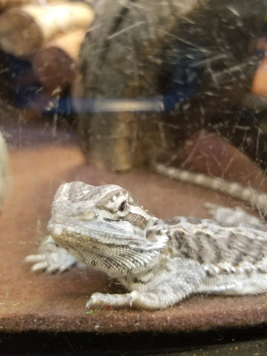 Pet Supply Store «PetSmart», reviews and photos, 640 W 300 N, Warsaw, IN 46582, USA