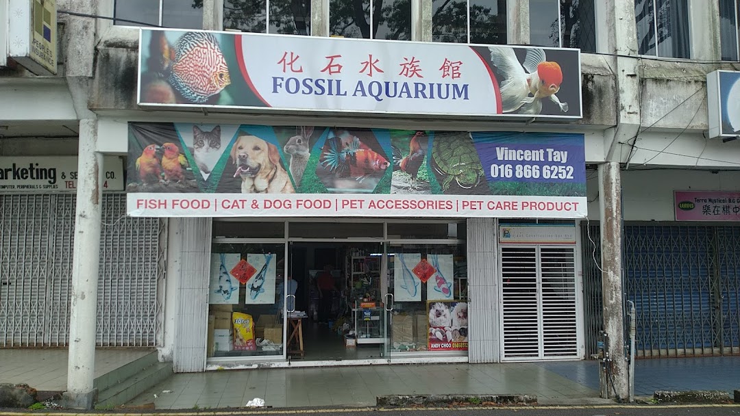 Fossil Aquarium