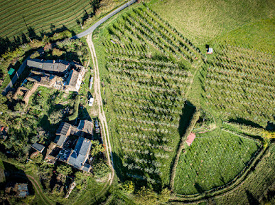Les Vergers de Nouals à Brousse-le-Château